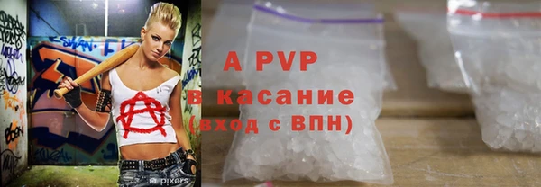 2c-b Ельня