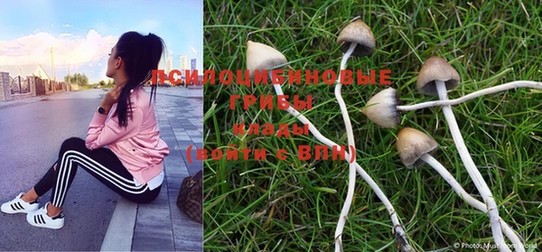 MESCALINE Алзамай