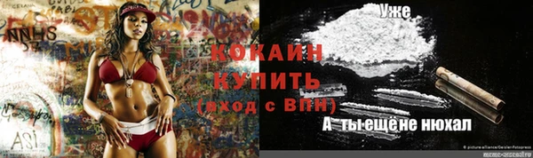 ешки Алексеевка